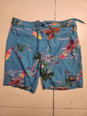 Mens Catch Surf Board Shorts
